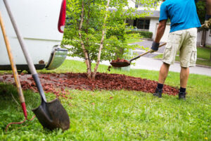 landscaper